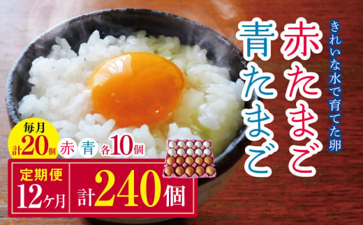 【12回定期便】きれいな水で育てた卵 赤たまご 青たまご 各10個 計20個  | 保坂農場  アローカナ あろーかな 赤卵 ミックス アソート 卵 たまご 赤玉 青玉 赤い卵 青い卵  定期便 12回 君津市産 千葉 君津 きみつ 房総 1547326 - 千葉県君津市