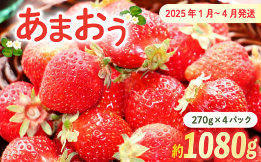 【2025年1月-4月下旬発送予定】『訳あり』いちごの王様！ あまおう小粒もりもり(4パック) 1511008 - 福岡県川崎町