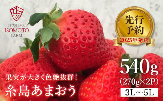 【先行予約】糸島の美味い あまおう 270g × 2パック (A品B品含む３L〜５L) [2025年1月以降順次発送] 糸島市 / 磯本農園 / TANNAL [ATB003] いちご 苺 イチゴ 401083 - 福岡県糸島市