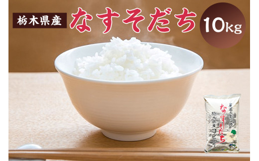 【大田原市・那須塩原市・那須町共通返礼品】＜米＞令和6年産 栃木県産 コシヒカリ なすそだち 10ｋｇ ＪＡなすの産地直送 ns005-002-10 【お米 大粒 ごはん おにぎり 国産 白米】 1033433 - 栃木県那須塩原市