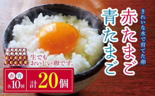 きれいな水で育てた卵 赤たまご 青たまご 各10個 計20個  | 保坂農場  アローカナ あろーかな 赤卵 ミックス アソート 卵 たまご 赤玉 青玉 赤い卵 青い卵 君津市産 千葉 君津 きみつ 房総 1547323 - 千葉県君津市