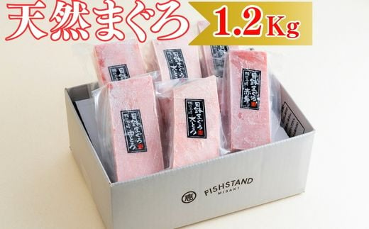 B36-002 【お箸が止まらない】天然目鉢まぐろ 1.2㎏(大トロ400g,中トロ400g, 赤身400g) 1188614 - 神奈川県三浦市