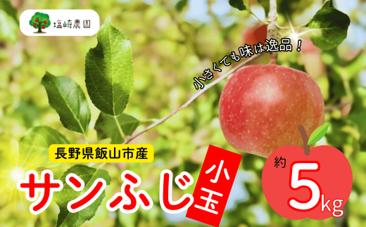 【先行予約】 サンふじ 小玉約5kg（2024年産） (T-1.3) 1452524 - 長野県飯山市