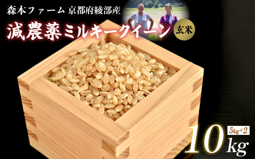 ≪選べる容量≫【令和6年産】新米 減農薬ミルキークイーン 玄米 10kg 【 米 ミルキークイーン 10キロ 10kg 玄米 こめ コメ お米 おこめ 減農薬 低農薬 農家直送 綾部 京都 森本ファーム 】 1545197 - 京都府綾部市