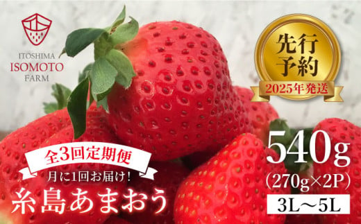 【月1回・全3回定期便】糸島 あまおう 270g×2パック[先行予約2025年1月～3月にて順次発送]  (A品B品含む３L～５L) 糸島市 / 磯本農園 / TANNAL [ATB009] いちご 苺 イチゴ ランキング 上位 人気 おすすめ あまおう定期便 433779 - 福岡県糸島市