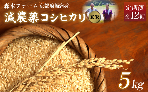 【定期便12回】【令和6年産】新米 減農薬コシヒカリ 玄米 5kg 毎月お届け 12ヶ月【 定期便 米 コシヒカリ こしひかり 5キロ 5kg 玄米 こめ コメ お米 おこめ 農家直送 減農薬 低農薬 綾部 京都 森本ファーム 】 1545498 - 京都府綾部市