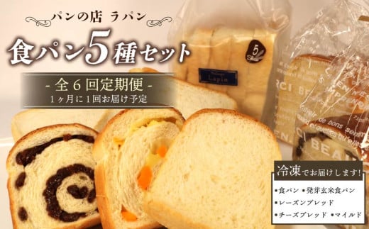 【全6回定期便】 食パン 5種セット パン 詰め合わせ 食ぱん 朝食 ご当地グルメ 美味しいパン ベーカリー 冷凍 国産小麦 おいしい ぱん パンセット 静岡県 藤枝市