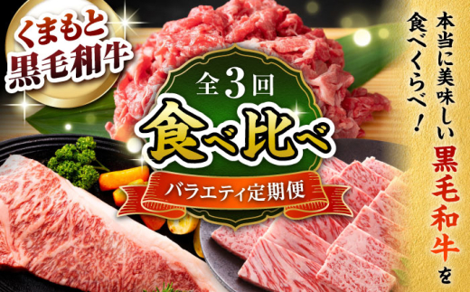 【3回定期便】熊本県産 黒毛和牛【有限会社 九州食肉産業】 [ZDQ168]