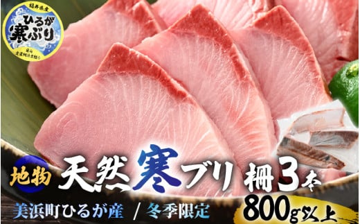 【先行予約】天然！地物！ひるがの寒ぶり 柵3本【合計800g以上】【2024年12月下旬以降順次発送】 [m36-b006] 1544997 - 福井県美浜町