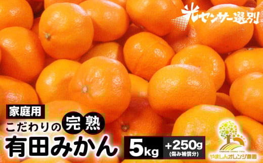 ＼光センサー選別／こだわりの完熟有田みかん 5kg＋250g(傷み補償分)【ご家庭用】サイズ混合 有機質肥料100% ｜ みかん 有田みかん 温州みかん ミカン 温州ミカン 柑橘 温州 甘い コク 産地直送 ※2025年11月中旬～2026年1月上旬頃に順次発送予定 ※北海道・沖縄・離島への配送不可