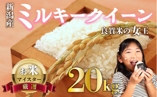 新米 ミルキークイーン 20kg お米 米 白米 こめ しんまい 令和6年産 ご飯 備蓄 贈答 コメ 新潟産 新潟県 新潟米 新潟 新発田 斗伸 1547351 - 新潟県新発田市