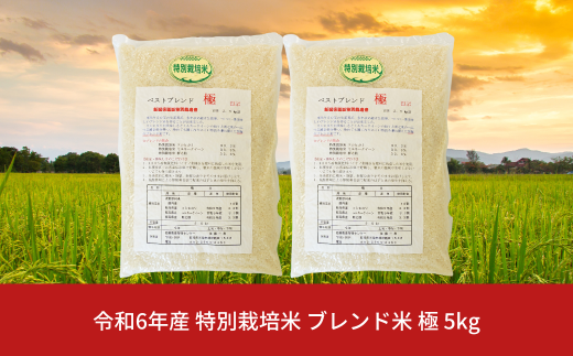 ブレンド米 極 5kg 米 コシヒカリ 新之助 ミルキークイーン 新潟県産 令和6年産 [佐藤農産有機センター]【010S389】 1036211 - 新潟県三条市