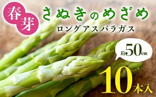 春芽 さぬきのめざめ 約50㎝ロングアスパラガス 10本入り アスパラ サラダ お弁当 おかず フレッシュ 新鮮 琴平 香川 F5J-762 1584567 - 香川県琴平町