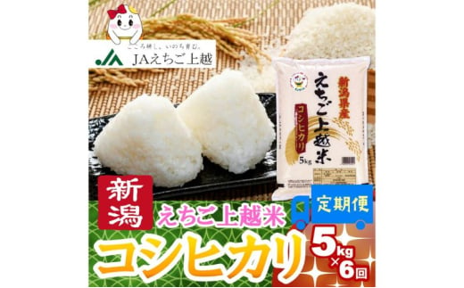 令和6年 新米 新潟県産コシヒカリ えちご上越米　定期便 【6ヶ月連続お届け】5kg×6回 30kg 新潟 米 新潟県 こしひかり 限定 おすすめ　定期便　お届け：寄附の入金の翌月より計6回、毎月中旬ごろに発送いたします。 1546588 - 新潟県上越市