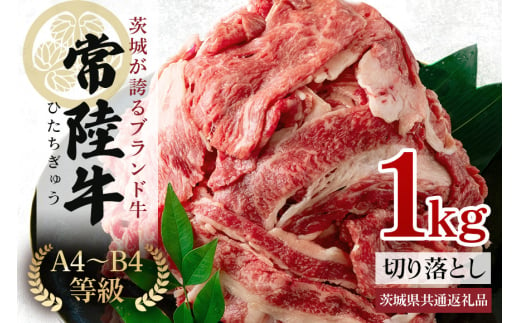 常陸牛 切り落とし 約1Kg 茨城県共通返礼品 ロース 黒毛和牛 最高級ブランド 常陸牛 お中元 牛肉 上品な脂の甘さ すき焼き 万能スライス 牛丼 肉ギフト 焼肉 肩ロース スライス 霜降り ブランド牛 国産牛 しゃぶしゃぶ 冷凍 薄切り 茨城 868473 - 茨城県那珂市