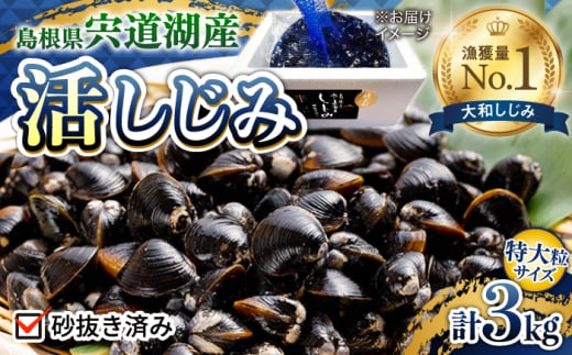 新鮮採れたて！宍道湖産活大和しじみ特大粒3kg(砂はき済み) 島根県松江市/平野缶詰有限会社 [ALBZ024] 1545431 - 島根県松江市