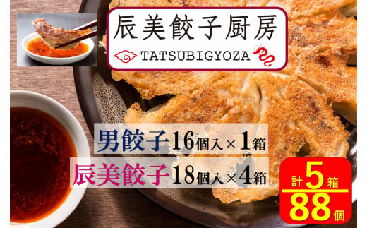 南砺ポーク使用 餃子専門店の 「辰美餃子」4箱（72個）＆「男餃子」1箱（16個）　計5箱(88個) 1545507 - 富山県南砺市