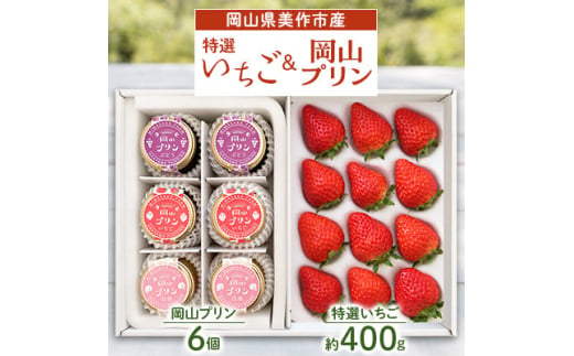 岡山県美作市産　特選いちご&岡山プリン詰合せ(いちご約400g、プリン6個)【1073698】 778000 - 岡山県美作市