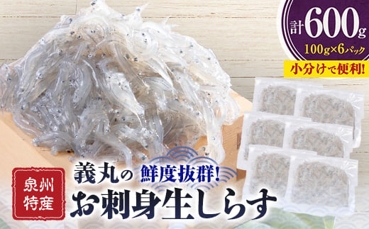 ＜100g×6パック＞義丸のお刺身生しらす　600g　泉州特産『義丸のだんじりしらす』_ しらす 生しらす シラス 刺身 小分け 冷凍 岸和田 だんじりしらす 新鮮 泉州 特産 パック 個包装 国産 産直 便利 海鮮 人気 おすすめ 【1518560】 1483880 - 大阪府岸和田市