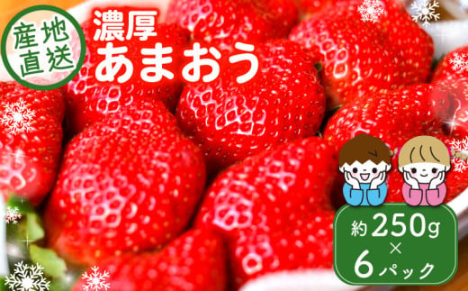 【先行受付】福岡県産いちご【あまおうグランデサイズ】3玉～15玉（大満足6パック）1月から発送         1511005 - 福岡県川崎町