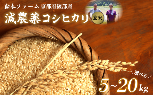 ≪選べる容量≫[令和6年産]新米 減農薬コシヒカリ 玄米 5kg〜20kg [ 米 コシヒカリ こしひかり 5キロ 10キロ 15キロ 20キロ 5kg 10kg 15kg 20kg 玄米 こめ コメ お米 おこめ 農家直送 減農薬 低農薬 綾部 京都 森本ファーム ]