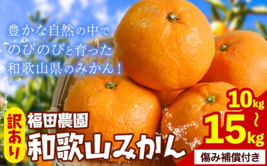 訳あり 和歌山みかん 10kg 12kg 15kg 傷み補償 サイズ混合 和歌山県産 ご家庭用 福田農園 [11月中旬-2月中旬頃出荷] 和歌山県 日高町 送料無料 みかん 柑橘 柑橘類 ミカン 訳ありみかん 選べる 内容量