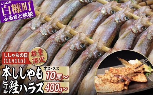 しらぬか産 本ししゃも 10尾~20尾 ピリ辛鮭ハラス400g~800g セット品 ししゃも シシャモ 子持ちししゃも 卵 魚卵 魚 魚介 国産 北海道 北海道産 ふるさと納税