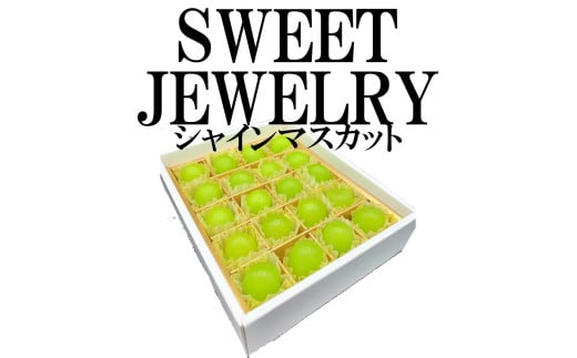 ＜2025年発送分先行予約＞山梨県南アルプス市産　シャインマスカット　粒ギフト　SWEET JEWELRY ALPAH014 1117955 - 山梨県南アルプス市