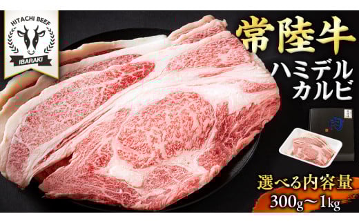 ＼ 選べる容量！ ／ 【 常陸牛 】A5 等級 ハミデルカルビ 300g 500g 1kg ひたちぎゅう ブランド牛 カルビ 国産牛 黒毛和牛 和牛 国産黒毛和牛 お肉 A5ランク 高級 BBQ パーティ