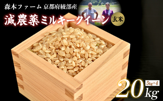 ≪選べる容量≫【令和6年産】新米 減農薬ミルキークイーン 玄米 20kg 【 米 ミルキークイーン 20キロ 20kg 玄米 こめ コメ お米 おこめ 減農薬 低農薬 農家直送 綾部 京都 森本ファーム 】 1545199 - 京都府綾部市