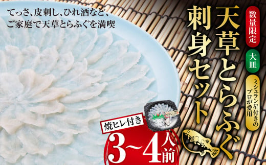 【数量限定】 【大皿】 【ミシュラン星付きのプロが愛用】 天草 とらふぐ 刺身 セット 3~4人前 焼ヒレ 付き 【2024年12月下旬～2025年3月下旬発送予定】ふぐ 河豚 フグ トラフグ 刺身 ふぐ刺し 皮刺し ひれ酒 1545510 - 熊本県上天草市