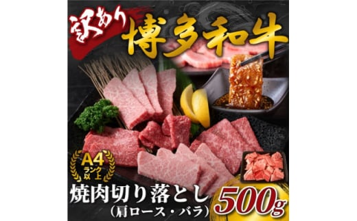 訳あり!＜A4～A5＞博多和牛焼肉切り落とし(肩ロース・バラ)　500g(大牟田市)【1560698】 1544831 - 福岡県大牟田市