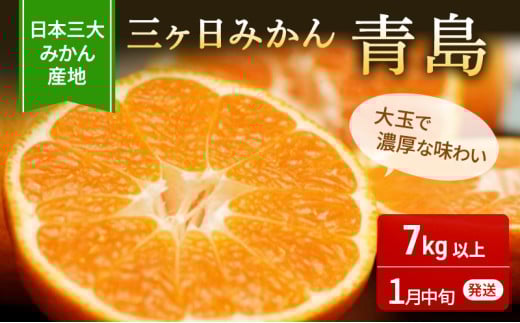 三ヶ日みかん 青島 7kg M～2L 優品 1月中旬頃より順次発送 みかん ミカン 蜜柑 青島みかん 三ヶ日 果物 くだもの フルーツ 旬の果物 旬のフルーツ 柑橘 柑橘類 糖度 静岡 静岡県 浜松市 [№5786-4103]