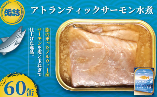 サーモン水煮 缶詰 60缶 アトランティックサーモン 魚 シャケ サケ 鮭 サーモン 水煮 魚缶詰 備蓄品 保存食 簡単缶詰 長期保存 常温保存 缶詰 備蓄缶詰 防災 非常食 大容量 ローリングストック キャンプ アウトドア お取り寄せ グルメ おかず 朝食 昼食 夕食 おつまみ 酒 のお供 アレンジレシピ セット ギフト 贈答 贈り物 プレゼント 食品 送料無料 千葉県 銚子市 田原缶詰		 1451059 - 千葉県銚子市