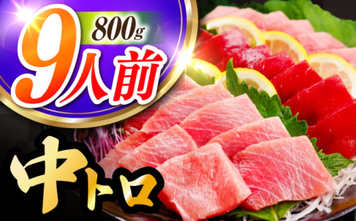 長崎県産 本マグロ「中トロ」(約800g) 中とろ マグロ まぐろ 鮪 マグロ刺身 ブロック トロ 刺身 さしみ 刺し身 冷凍 東彼杵町/大村湾漁業協同組合  [BAK037] 1545611 - 長崎県東彼杵町