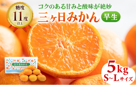 三ヶ日みかん 早生 5kg S〜L 12月上旬より順次発送 みかん ミカン 蜜柑 早生みかん 三ヶ日 果物 くだもの フルーツ 旬の果物 旬のフルーツ 柑橘 柑橘類 糖度 静岡 静岡県 浜松市 
