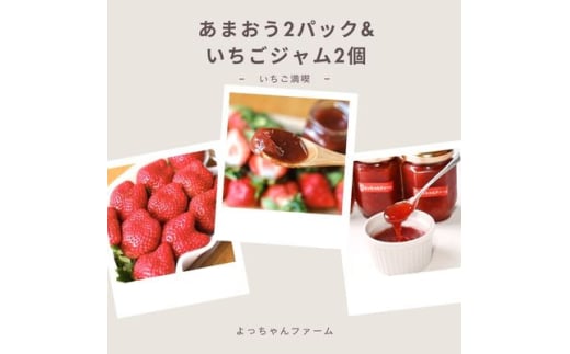 ＜先行受付＞いちご満喫　あまおう2パック&あまおうジャム2瓶のセット　1月より順次発送(吉富町)【1523904】 1539980 - 福岡県吉富町