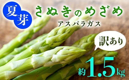 【訳あり】夏芽 さぬきのめざめアスパラガス 約1.5kg  F5J-772 1584577 - 香川県琴平町