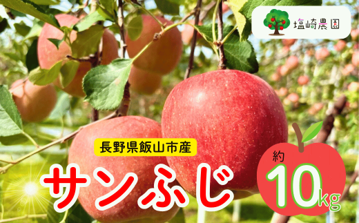 【先行予約】 サンふじ 約10kg（2024年産）(D-2.8) 1452522 - 長野県飯山市