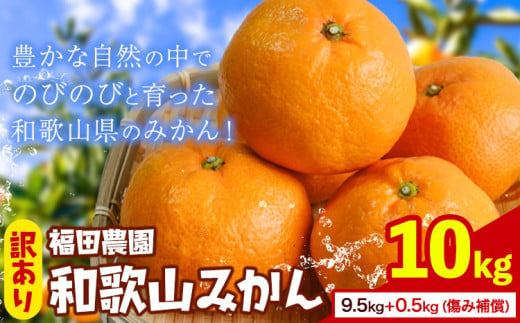 訳あり 和歌山みかん  9.5kg＋0.5kg(傷み補償分) 計10kg サイズ混合 和歌山県産 ご家庭用 福田農園 《11月中旬-2月中旬頃出荷》 和歌山県 日高町 送料無料 みかん 柑橘 柑橘類 ミカン 訳ありみかん 選べる 内容量