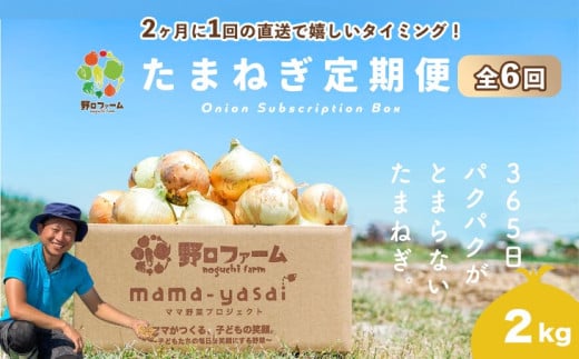 【全６回・２ヶ月に１回定期便】mama-yasai たまねぎ２kg