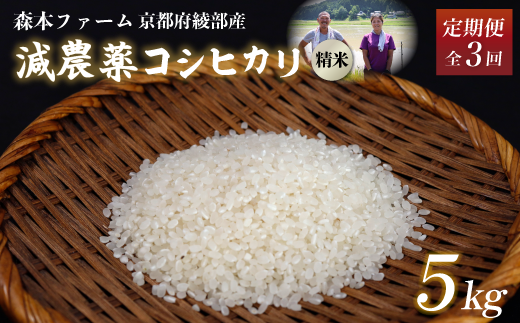 【定期便3回】【令和6年産】新米 減農薬コシヒカリ 精米 5kg 毎月お届け 3ヶ月【 定期便 米 コシヒカリ こしひかり 5キロ 5kg 精米 白米 こめ コメ お米 おこめ 農家直送 減農薬 低農薬 綾部 京都 森本ファーム 】 1545469 - 京都府綾部市