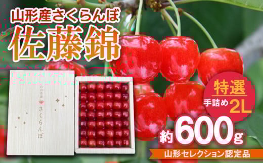 さくらんぼ 佐藤錦 特選 手詰め 2L 約600g 山形セレクション認定品 【令和7年産先行予約】FS24-630くだもの 果物 フルーツ 山形 山形県 山形市 2025年産