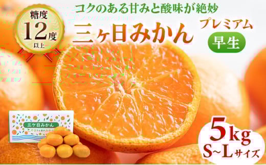 三ヶ日みかん プレミアム 早生 5kg S〜Lサイズ混合 12月上旬より順次発送 みかん ミカン 蜜柑 早生みかん 三ヶ日 果物 くだもの フルーツ 旬の果物 旬のフルーツ 柑橘 柑橘類 糖度 静岡 静岡県 浜松市 