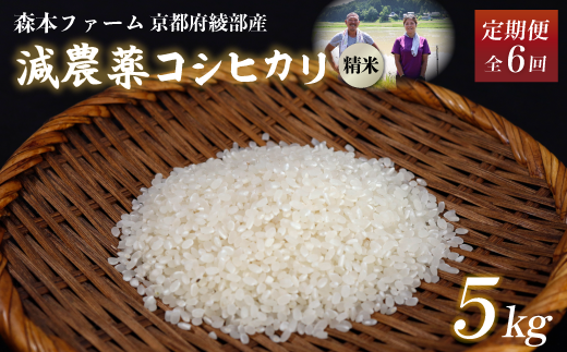 【定期便6回】【令和6年産】新米 減農薬コシヒカリ 精米 5kg 毎月お届け 6ヶ月【 定期便 米 コシヒカリ こしひかり 5キロ 5kg 精米 白米 こめ コメ お米 おこめ 農家直送 減農薬 低農薬 綾部 京都 森本ファーム 】 1545470 - 京都府綾部市