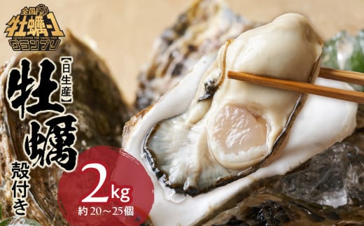 【備前市日生産】殻付き牡蠣 2kg【 全国牡蠣-1グランプリ豊洲2024 加熱部門初代グランプリ受賞！ 牡蠣 2kg 蒸しカキ 焼き牡蠣 牡蠣フライ】 1551675 - 岡山県備前市