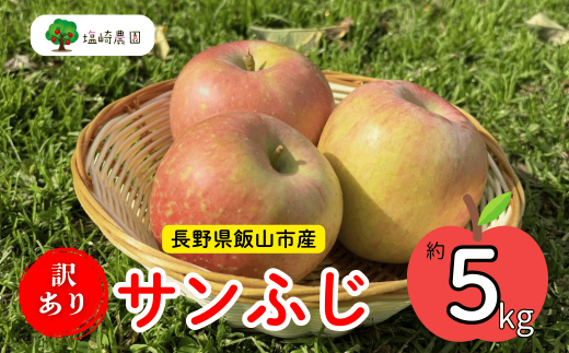 【先行予約】 【訳あり】サンふじ 約5kg（2024年産） (Ab-1) 1452526 - 長野県飯山市