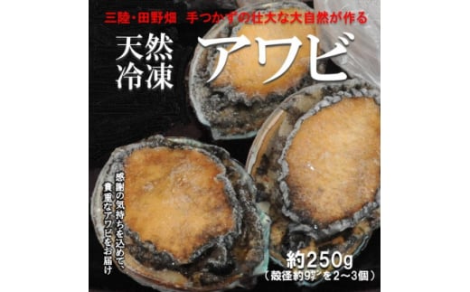 ＜三陸たのはた・天然冷凍アワビ＞約250g(小2～3個)【1567389】