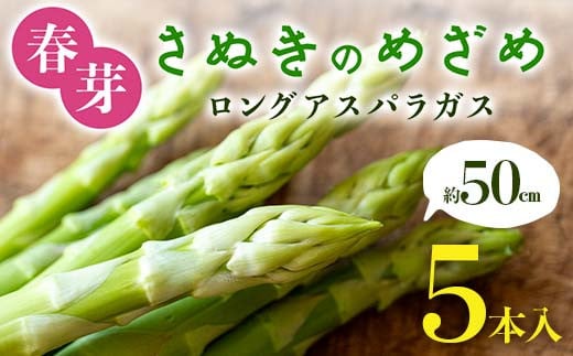 春芽 さぬきのめざめ 約50㎝ロングアスパラガス ５本入り アスパラ サラダ お弁当 おかず フレッシュ 新鮮 琴平 香川 F5J-761 1584566 - 香川県琴平町