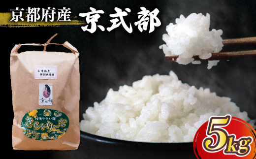 【 令和6年産 】 京都府産 米 京式部 5kg 5キロ 米 白米 精米 こめ おこめ ブランド米 おいしい 産直 産地直送 お取り寄せ 14000円 京都府 京都  1115882 - 京都府京都府庁